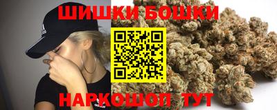МДПВ Новодвинск