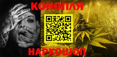 МДПВ Новодвинск