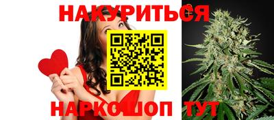 МДПВ Новодвинск