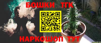 прущие крисы Новозыбков