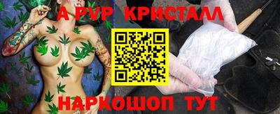 прущие крисы Новозыбков