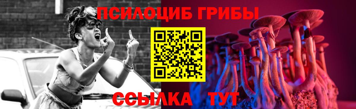 купить наркоту  Галлюциногенные грибы MAGIC MUSHROOMS  Сургут  Вход с VPN  Псилоцибиновые грибы мицелий 